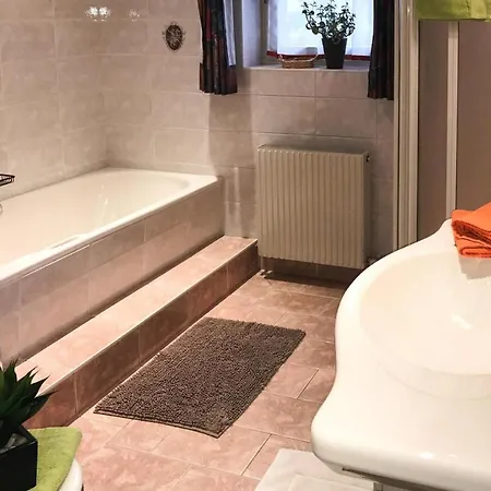 Apartmán Holiday Flat Alpin Apart Armin Aschau - Otr051066-p *